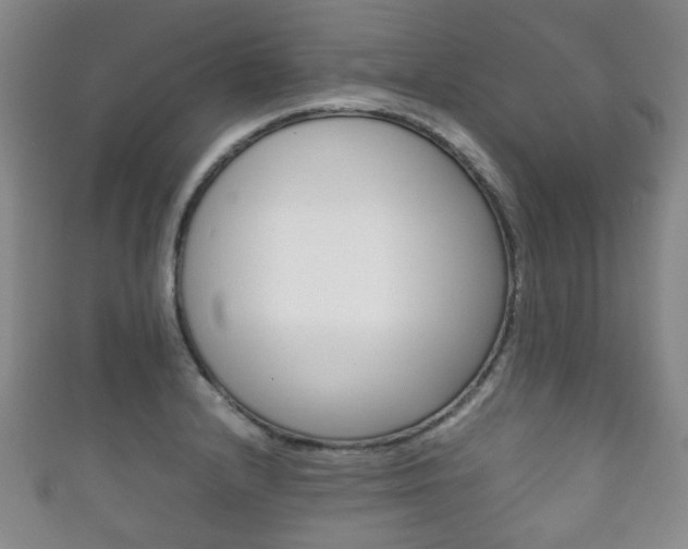 X0000111861232200907231124