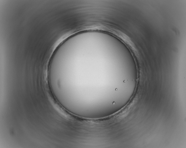 X0000111861234200907231124