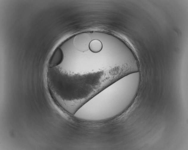 X0000111861235200907231124