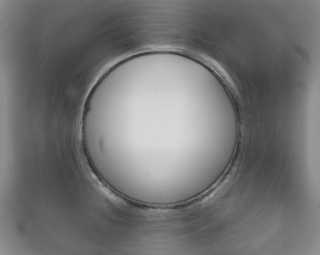 X0000111861236200907231124