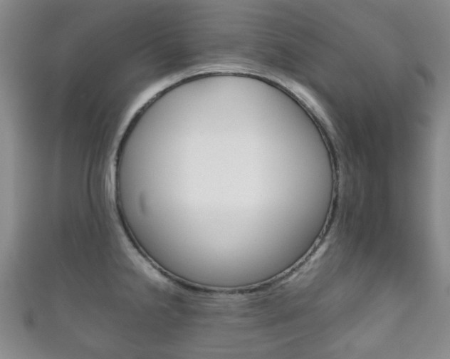 X0000111861238200907231124