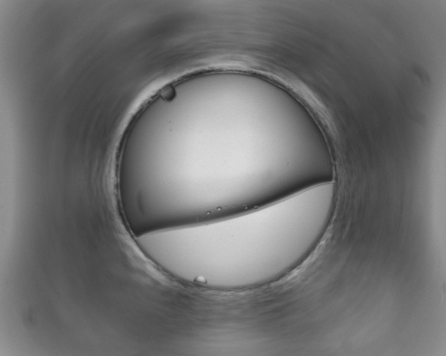 X0000111861240200907231124