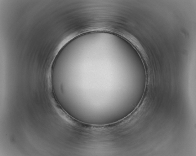 X0000111861242200907231124