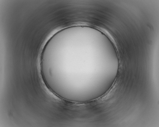 X0000111861243200907231124