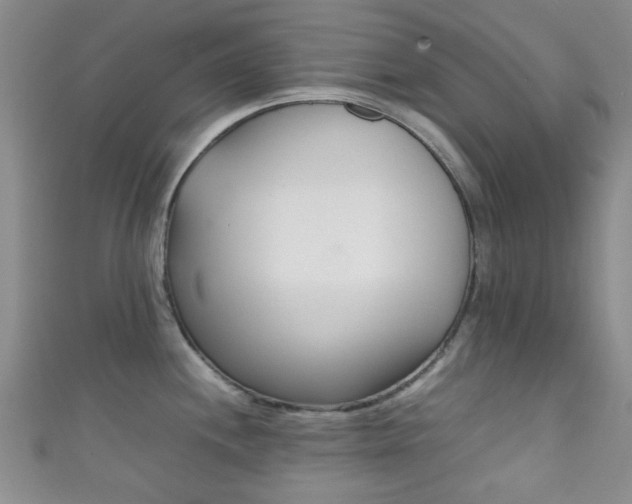 X0000111861244200907231124