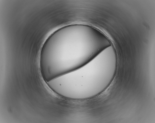 X0000111861246200907231124