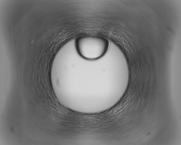 X0000111861249200907231123