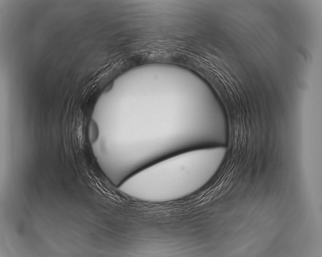 X0000111861250200907231123