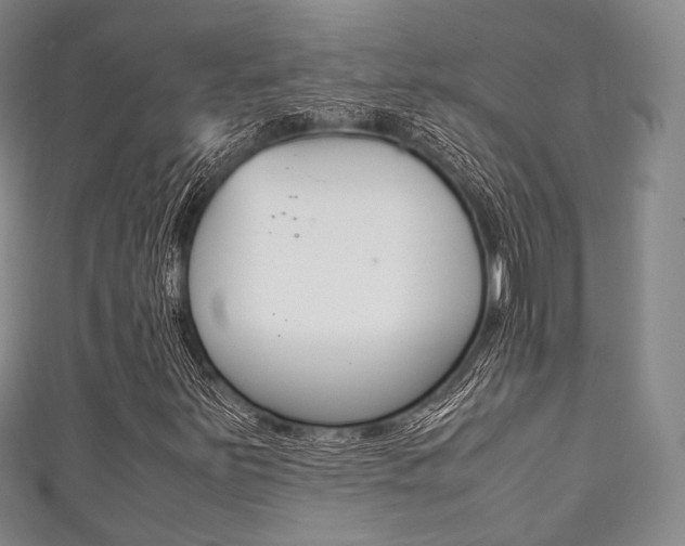 X0000111861251200907231123