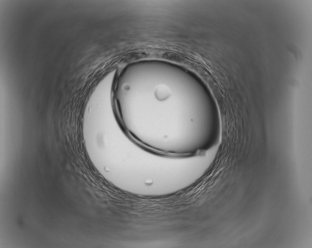 X0000111861253200907231123