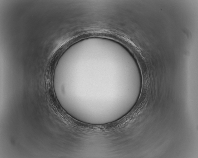 X0000111861255200907231123