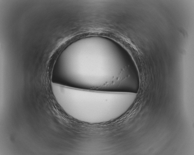 X0000111861256200907231123