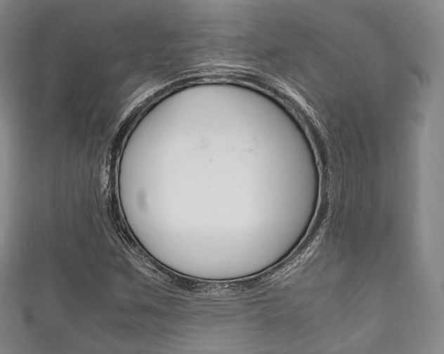 X0000111861259200907231123