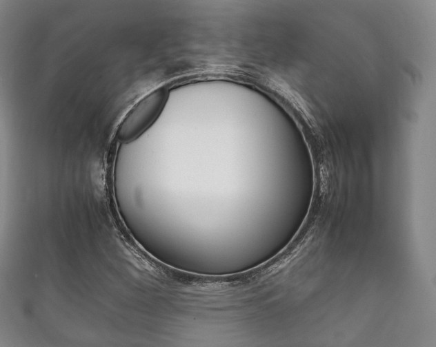 X0000111861260200907231123