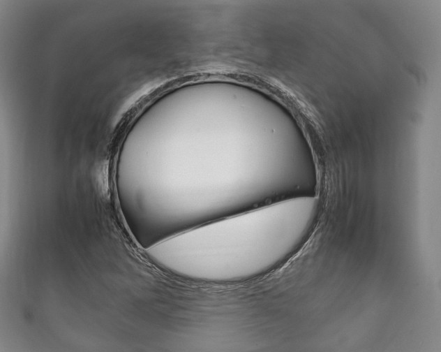 X0000111861262200907231123