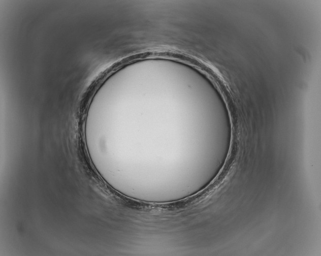 X0000111861263200907231123