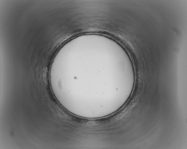 X0000111861265200907231123