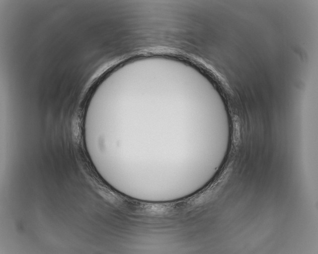 X0000111861266200907231123
