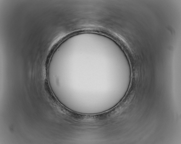 X0000111861267200907231123