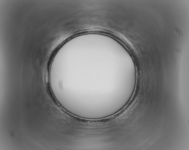 X0000111861269200907231123