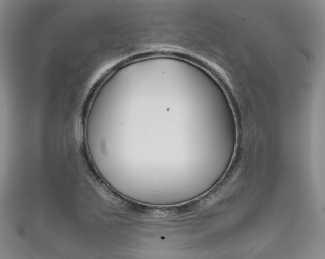 X0000111861271200907231123