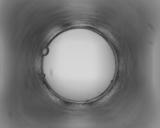 X0000111861273200907231123