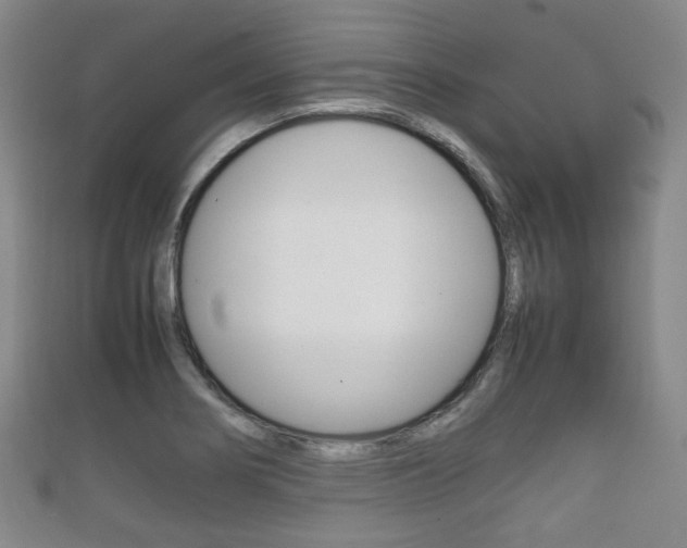 X0000111861274200907231123