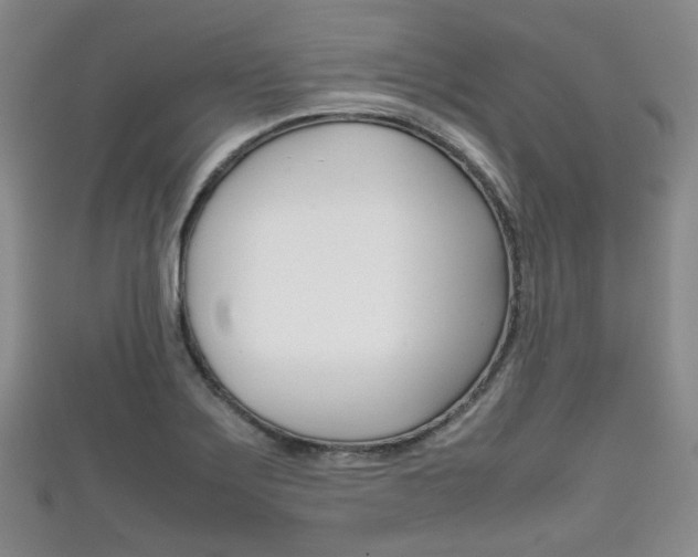 X0000111861275200907231123