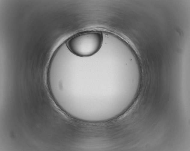 X0000111861277200907231123