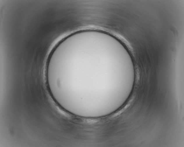 X0000111861278200907231123
