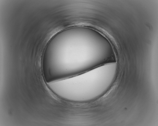 X0000111861281200907231123