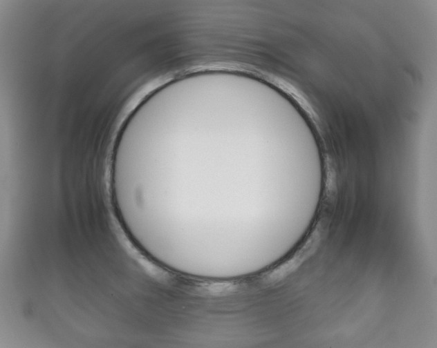 X0000111861282200907231123