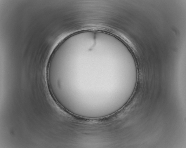 X0000111861283200907231123