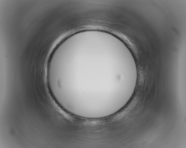 X0000111861286200907231123