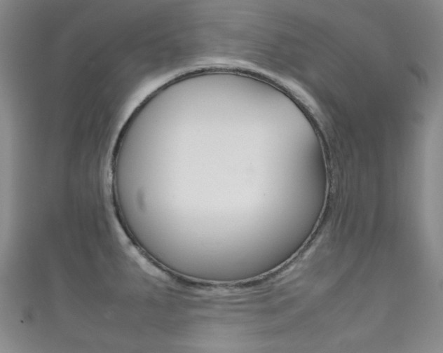 X0000111861287200907231123