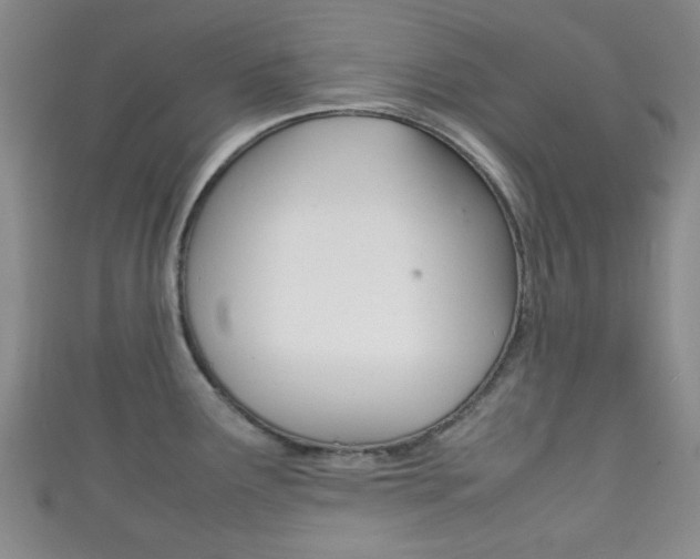 X0000111861291200907231123