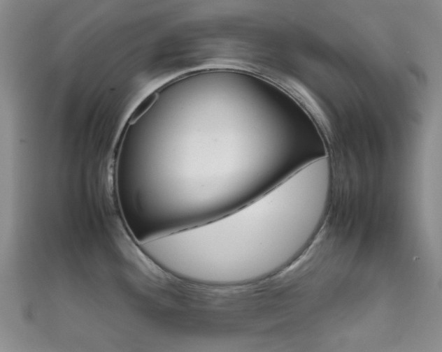 X0000111861292200907231123