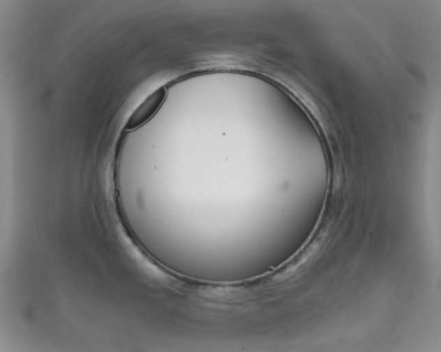 X0000111861293200907231123