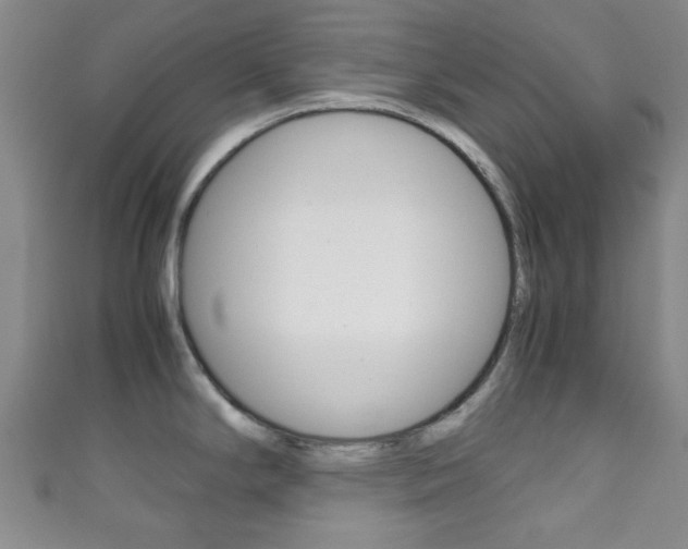 X0000111861294200907231123