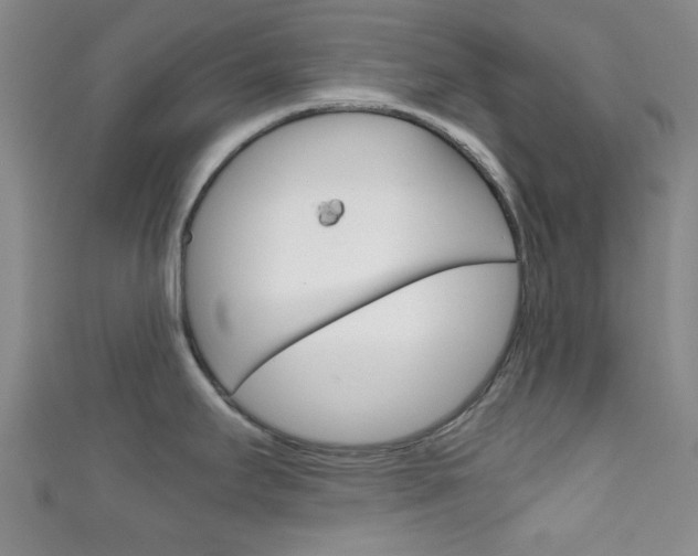 X0000111861295200907231123