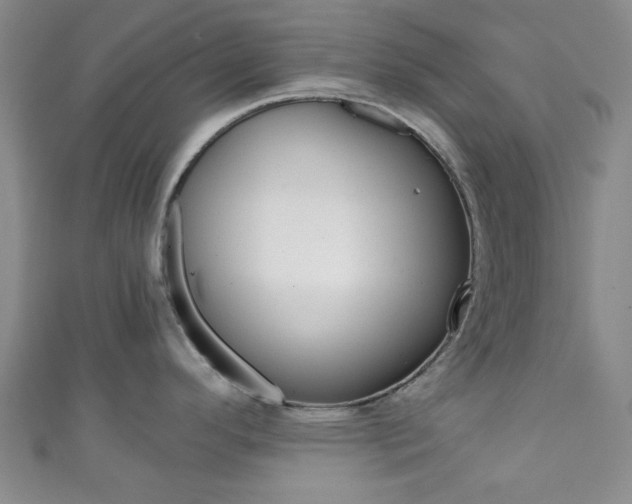 X0000111861296200907231123