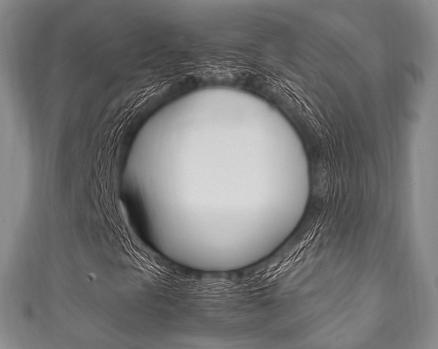 X0000111861297200907231122