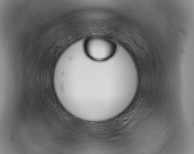 X0000111861298200907231122