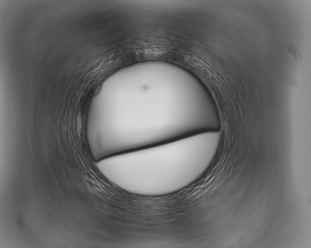 X0000111861299200907231122