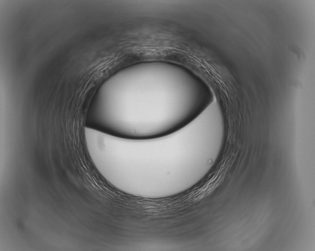 X0000111861300200907231122