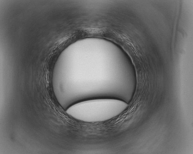 X0000111861301200907231122