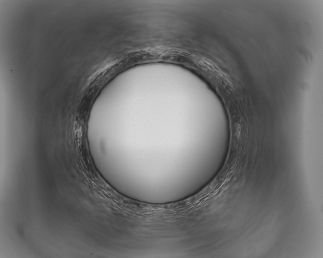 X0000111861302200907231122
