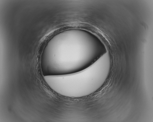 X0000111861304200907231122