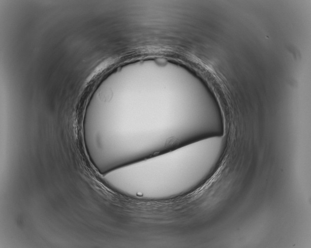 X0000111861306200907231122