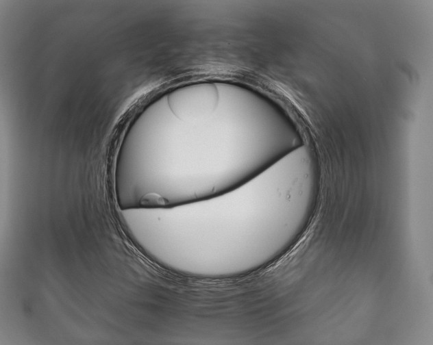 X0000111861307200907231122